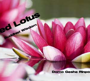 Red Lotus Buddhist Wisdom
